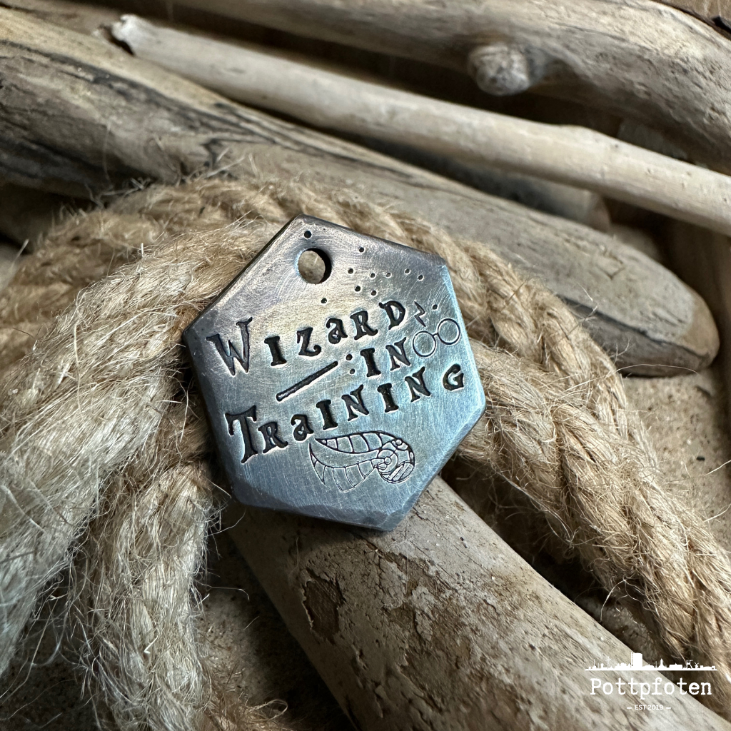 Wizard in training Hundemarke